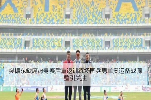 樊振东缺席热身赛后重返训练场国乒男单奥运备战调整引关注